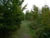moravsky kras80